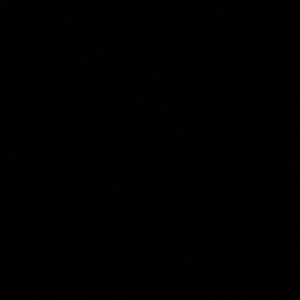 Meet your Posher, Acelyn